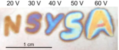 Figure 4B shows the result of the electropolymerization using the toothpick conﬁguration