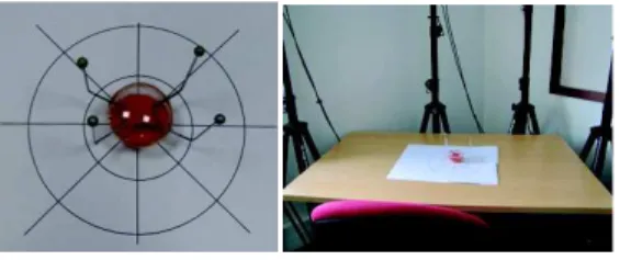 Figure 6. Study setup: distances and directions were drawn on  the surface. 