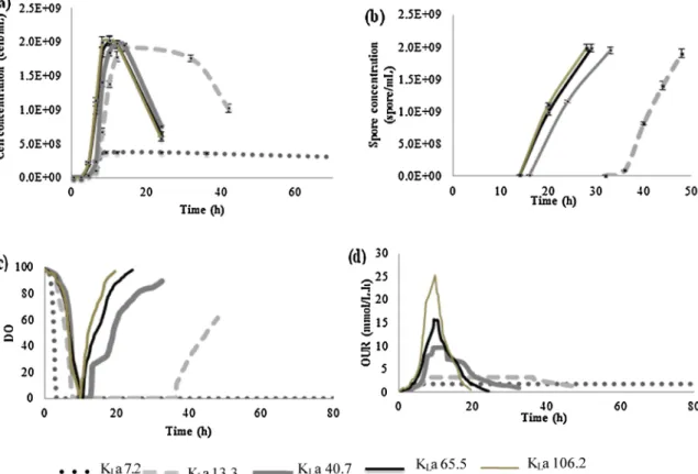 Fig. 1. Variations of Bt cell concentration (a), Bt spore concentration (b), DO (c) and OUR (d) at different values of K L a.
