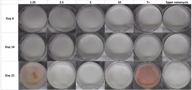 Figure 2-6 Growth of R. mucilaginosa in commercial yogurt treated with different reuterin  concentration (1.25, 2.5, 5, 10 mM), natamycin 5ppm and control of sterile water (T+) and  stored at 4 °C for 21 days