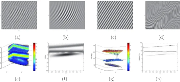 Figure 1: (a): the 2D test-signal represented as an image. (b,c,d): its components. (e,f): the monogenic wavelet transform |c F | represented as a density in 3D, and in 2D for y = 0.5 fixed