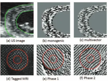 Fig. 2 . Optical ﬂow estimation. After initialization, the iterative op- op-tic ﬂow computation proceeds as follows: two successive frames are loaded (A); monogenic features are then computed (B); the optimal window size for optic ﬂow computation is optimi