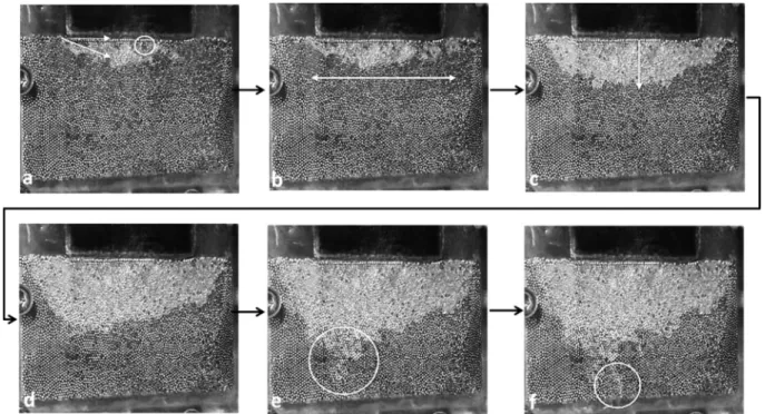 Fig. 11. Evolution of the vapour region within the wick for micromodel B and a heat load of 2 W
