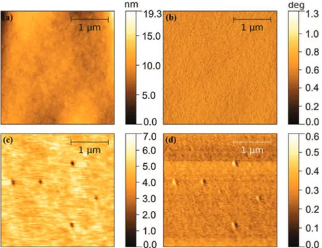Fig. 4. AFM images of the epoxy Air (a and b) and epoxy Argon (c and d) surfaces. Left column shows topographic images after a polynomial of degree 2 correction, and right column shows deflection images (or phase contrast).