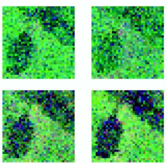 Fig. 1. Synthetic sequence based on the Madonna image. (top-left) t = 1, (top-right) t = 8, (bottom-left) t = 15 and (bottom-right) t = 20.