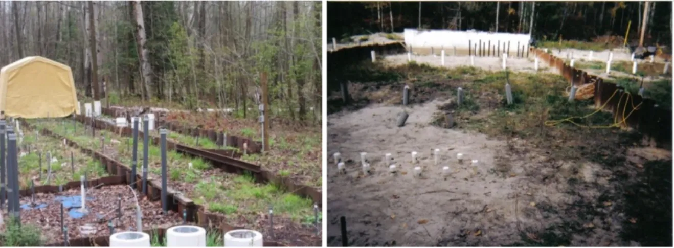 Figure 2 : Photos du site expérimental à Borden en Ontario : vue d’ensemble à gauche et cellule de  l’essai à droite (Shayan, 2015) 