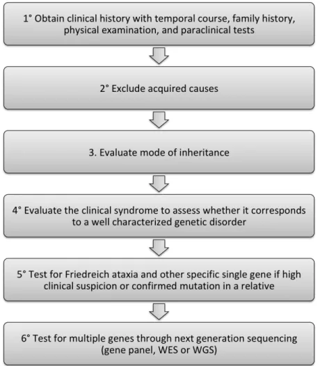 Figure 2.2 Graphical summary of the clinical approach to a patient presenting with ataxia 