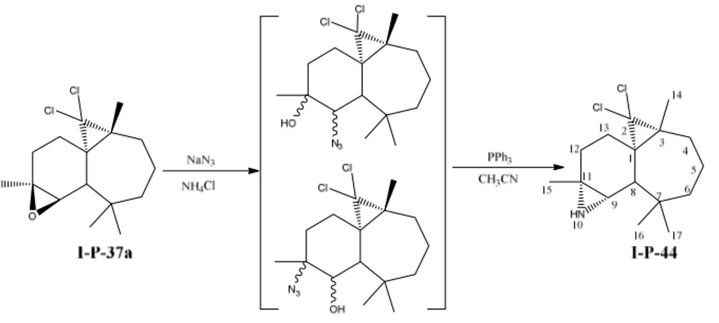 Figure I-5: structure cristalline du composé I-P-44  III-3)-Modification chimique des α-atlantones 
