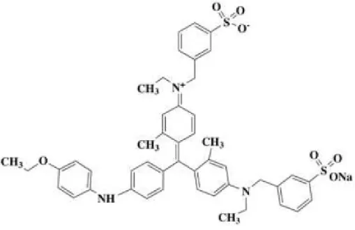 Figure 3. Bleu de Coomassie