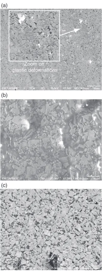 Fig. 13. SEM observations by backscattered electron analysis of cleaned worn surfaces: a — P8; b — P16