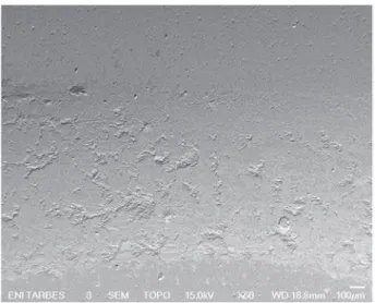 Fig. 16. Transverse proﬁle of the counterface wear track superpose to the transverse pro- pro-ﬁle of the associated P16 insert worn surface.
