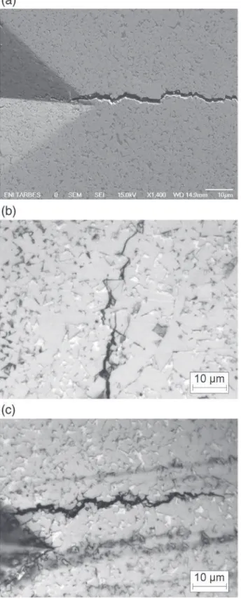 Fig. 2. Observations of crack propagations in cemented carbides after a Vickers indentation at 150 kg for 10 s: a — SEM observation of an intergranular crack propagation in the P8 insert; b — optical observation of an intergranular and a transgranular crac