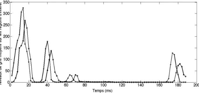 Figure 6 : Évolution de la valeur moyenne des niveaux de gris sur deux régions d’intérêt voisines  Par  ailleurs,  la  largeur  des  pics  nous  renseigne  sur  le  temps  de  passage  des  bulles