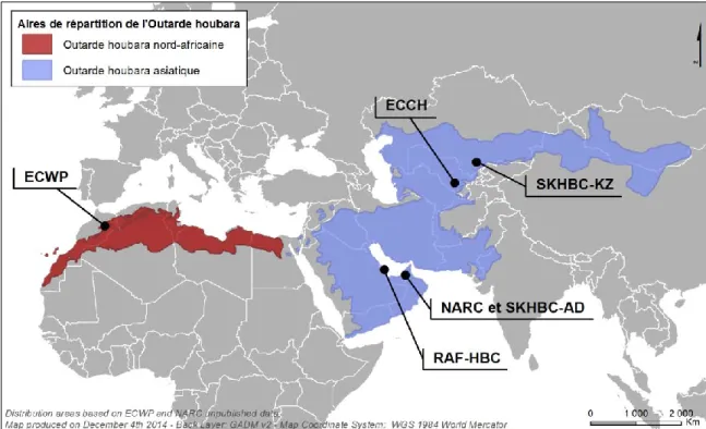Figure 8. Aires de répartition des deux espèces d’Outarde houbara et distribution des projets de  conservation étudiés