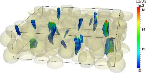 Figure 5.14 : Zoom sur une partie du lit montrant les zones à vitesse verticale élevée normalisée  par la vitesse d’entrée (U z  / U ls  &gt; 10),  S1 - 0.7 