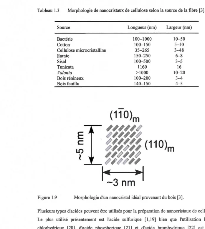 Tableau  1.3  Morphologie de nanocristaux de cellulose selon la source de  la fibre  [3]