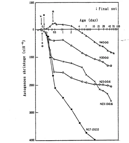 Figure 2.1 : Influence du rapport E/C sur Ie retrait endogene exteme d'un coulis [Tazawaetal, 1995]