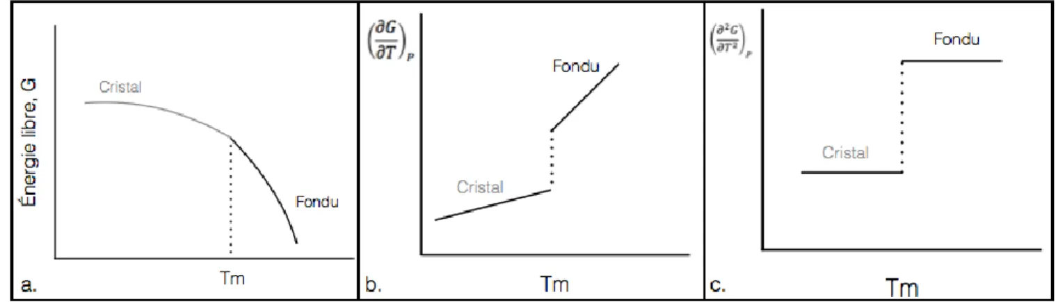 Figure 7:   Impact de la température de fusion sur certaines propriétés. L’énergie libre à la  figure a, les propriétés reliées à la première dérivée de celle-ci à la figure b et les propriétés reliées à la  deuxième dérivée de celle-ci en c