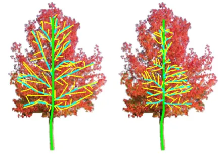 Figure 2.16: On the left, the skeleton after a small erosion. On the right, the skeleton after a larger erosion.