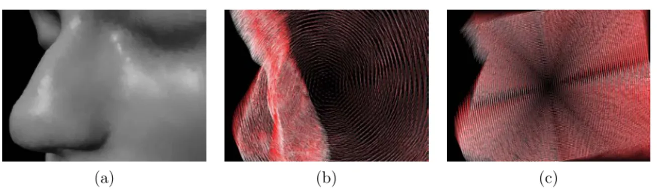 Figure 3.3: (a) A 3D point-based model of a face rendered with hidden surface removal