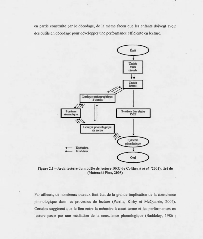 Figure 2.1- At·chitecture du  modèle de lecture  DRC  de Coltheart et al.  (2001), tiré de  (Maïonchi-Pino, 2008) 