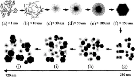 Figure 2. Schematisation de la cristallisation de la gibbsite en milieu concentre (14) 