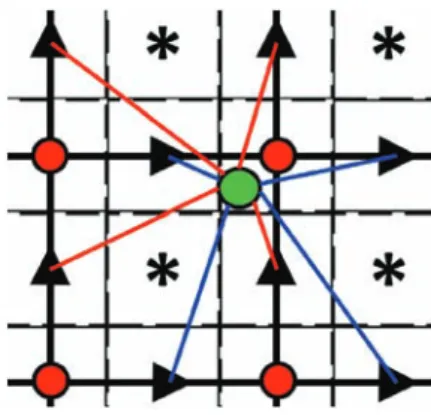 Fig. 4. Eulerian velocity kernel (u-components in blue and v-components in red) used in two dimensions to estimate the components of the interpolation Lagrangian velocity points (green point)