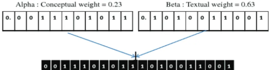 Fig. 3. Coding of a Chromosome