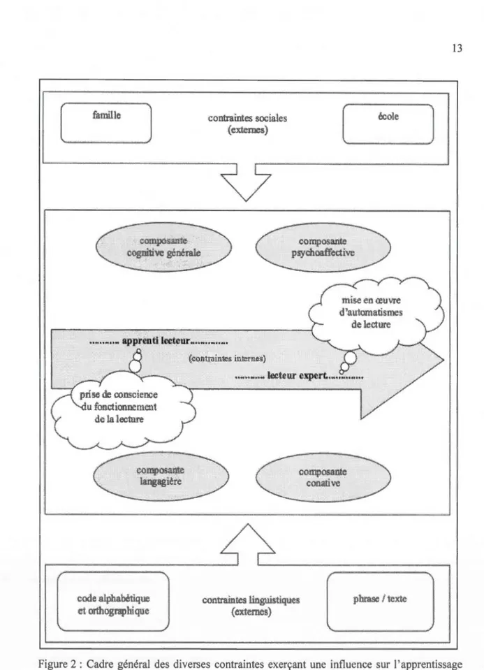 Figure 2  :  Cadre  général des  d iverses  contraintes  exerçant  une  influence  sur  l'apprentis sage  de  la  lecture (adapté de  Écalle et Magnan , 2002; Écalle  et Magnan, 201 0) 