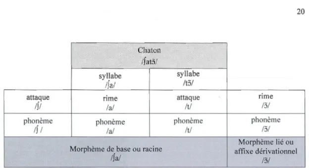 Figure 4: Analyse de la structure d ' un mot et déco mposition  sy llabique et  morphémique 