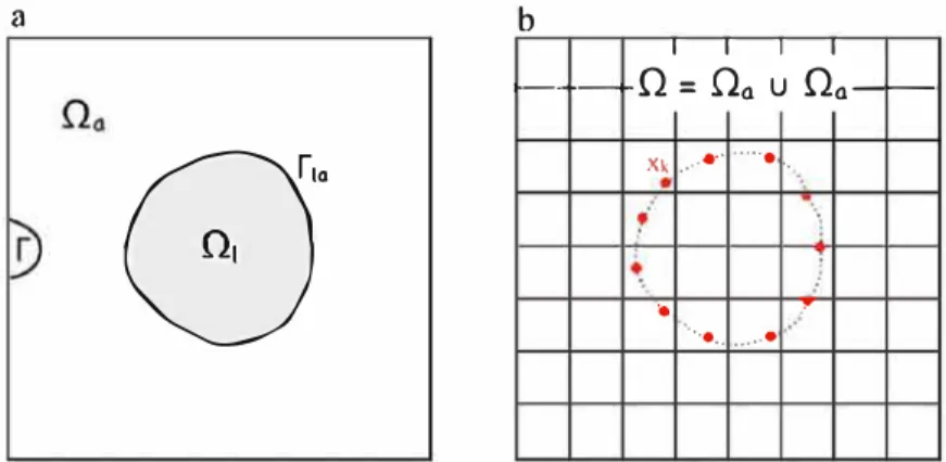 Figure 2. (a) Scheme of the continuous fluid problem with an 'obstacle.' (b) Scheme of the discrete fictitious domain  problem