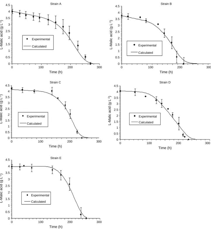 Fig. 4 Experimental and calculated L- malic acid concentrations during the cultures of O