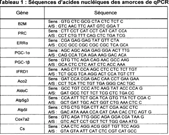 Tableau  1  :  Séquences d’acides  nucléiques des amorces  de qPCR