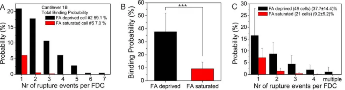 Figure 3. Quantitative comparison of binding probabilities for folate deprived (black columns) and folate saturated (red columns) cancer cells