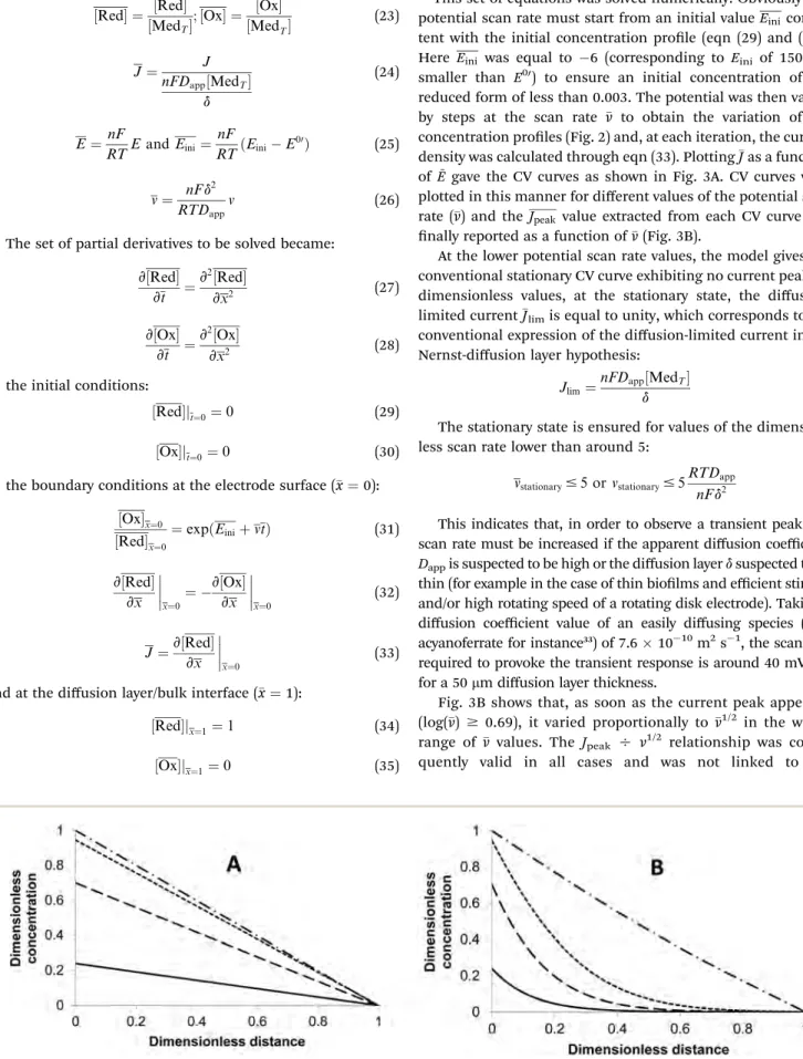 Fig. 3B shows that, as soon as the current peak appeared (log(v) $ 0.69), it varied proportionally to v 1/2 in the whole range of v values