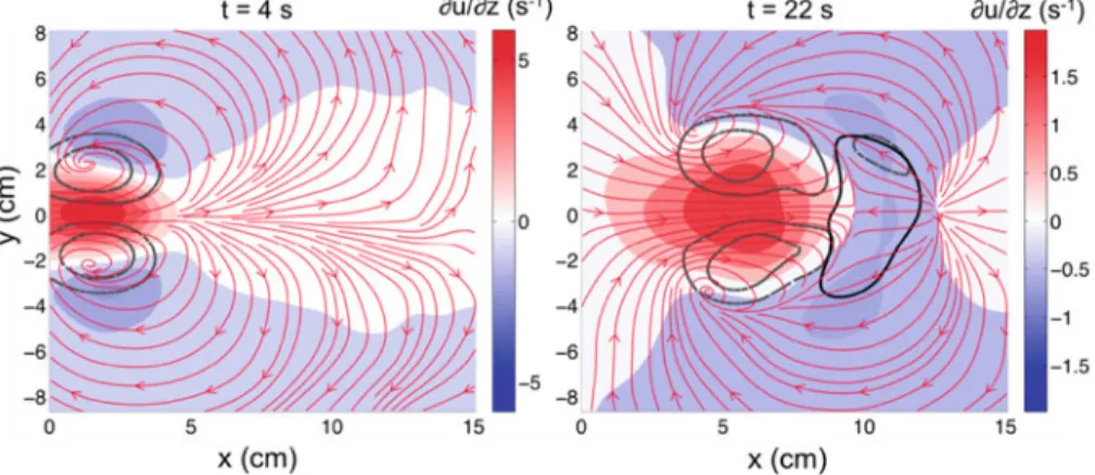 Fig. 5 Streamwise wall shear stress ∂u/∂z(s −1 ) in the horizontal plane (x, y) at z = 0 (in color)