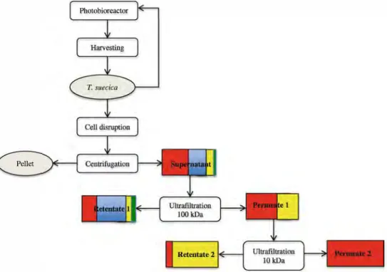 Fig. 6  Overall process reflecting  all the steps from growth to  fractionation after 