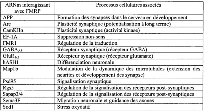 Tableau  2.  Identification  des  14  ARNm  interagissant  avec  FMRP  et  validé  par  une  interaction  biochimique  directe