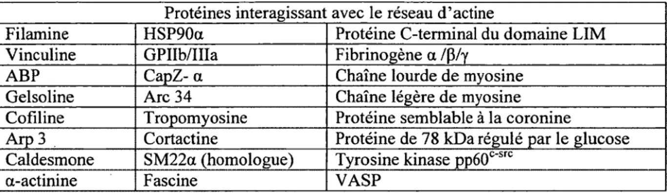 Tableau  3.  Identification  de certaines  protéines  en  liaison  avec  le  réseau  d’actine  lors  de  l’activation  plaquettaire