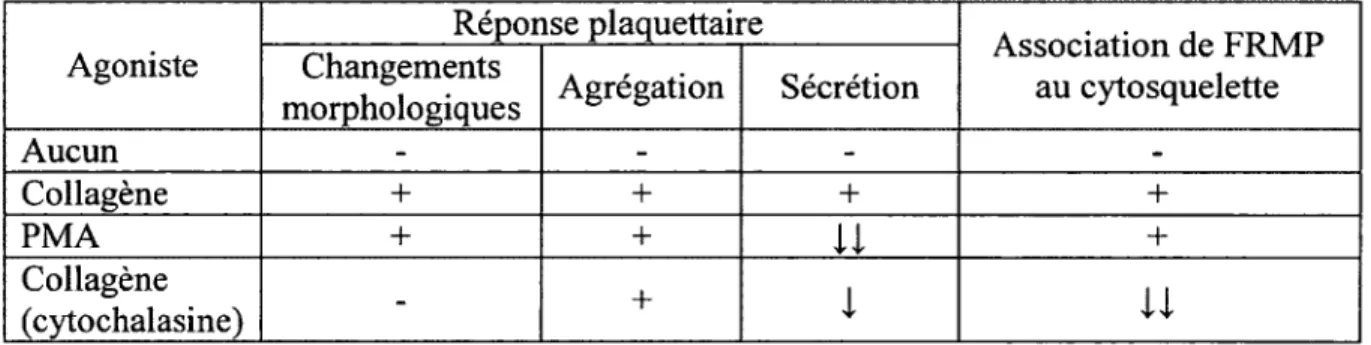 Tableau  4.  Corréalation  de  l’association  de  FMRP  au  cytosquelette  avec  différentes  phases  de l’activation  plaquettaire
