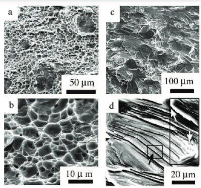 Figure 1.4: SEM images illustrating the impact of H on fracture in a hydride forming system (β Ti) [4]