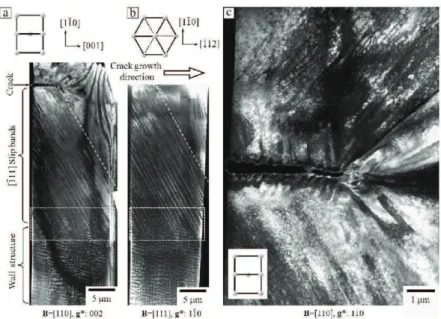 Figure 1.9: TEM image of the dislocation structure around a crack in fatigue in Fe-Si alloy in He atmosphere, from [9].