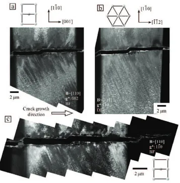 Figure 1.10: TEM image of the dislocation structure around a crack in fatigue in Fe-Si alloy in H atmosphere, from [9].