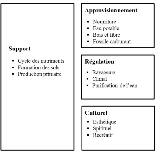 Figure  2.  Services  écosytémiques  décrits  dans  le  rapport  du  Millenium  Ecosystem   Assessment, 2005