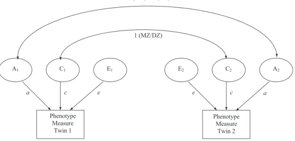 Figure 1. Univariate ACE model. A ¼ additive genetic factors; C ¼ shared environmental factors, which affect twins within a pair in a similar way, E ¼ nonshared environmental factors, which uniquely affect each twin in a pair