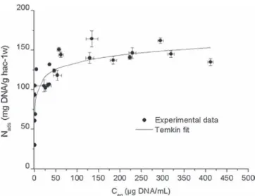 Fig. 4. The reference adsorption isotherm of calf thymus DNA (0.75–4.5 mg, ini- ini-tial concentration range 40–600 mg/ml) on biomimetic carbonated apatite hac-1w (10 mg) in standard conditions (room temperature, 3 days of incubation, neutral pH) fits with