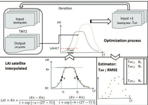 Figure 2. Process of optimization of the seeding date by matching the early variations of simulated LAI with the interpolated LAI derived from F2 image series at crop-field scale