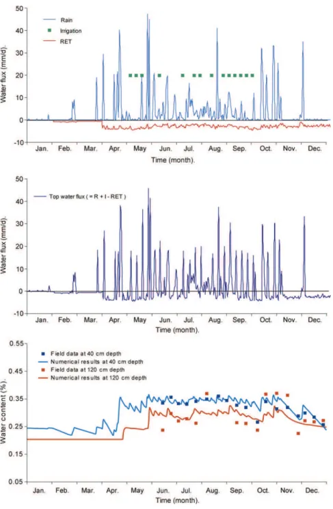 Fig. 4. Data set used for the fitting exercise and comparison of numerical results and observations.