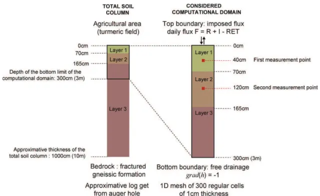 Fig. 3. Soil column considered for the real data set fitting exercise, with the associated computational domain.