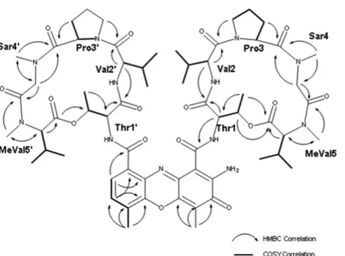 Figure 3. HMBC and COSY correlations of the compound YA. MeVal, methyl-valine; Pro, proline; Sar, sarcosine; Thr, threonine; Val, valine.